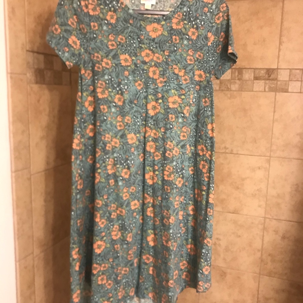 Lularoe Carley